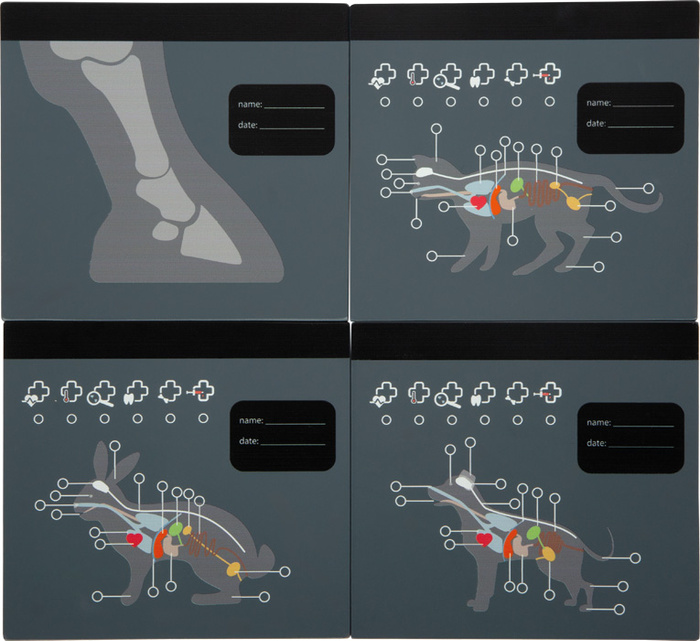 Zestaw weterynarza z pluszowym królikiem Small Foot