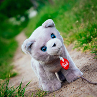 Maskotka dla dzieci Kotka szara Pluszak Trudi