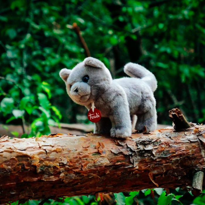 Maskotka dla dzieci Kotka szara Pluszak Trudi