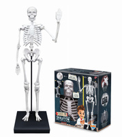 Szkielet człowieka 85 cm ruchomy model anatomiczny do składania dla dzieci Buki