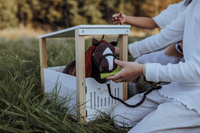 Minis Astrup 4w1 kolekcja Pixi fiolet