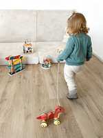 Kulodrom Dino Small Foot