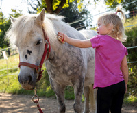 Zestaw do pielęgnacji konia 8 elementów dodatki do Hobby Horse Erzi