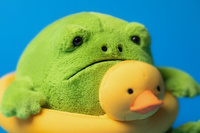 Deszczowa Żaba Ricky z Kaczuszką do Pływania 18 cm Jellycat pluszaki dla dzieci