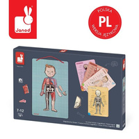 Układanka magnetyczna Anatomia człowieka Janod 
