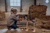 Domek drewniany z akcesoriami dla pluszowych króliczków Astrup