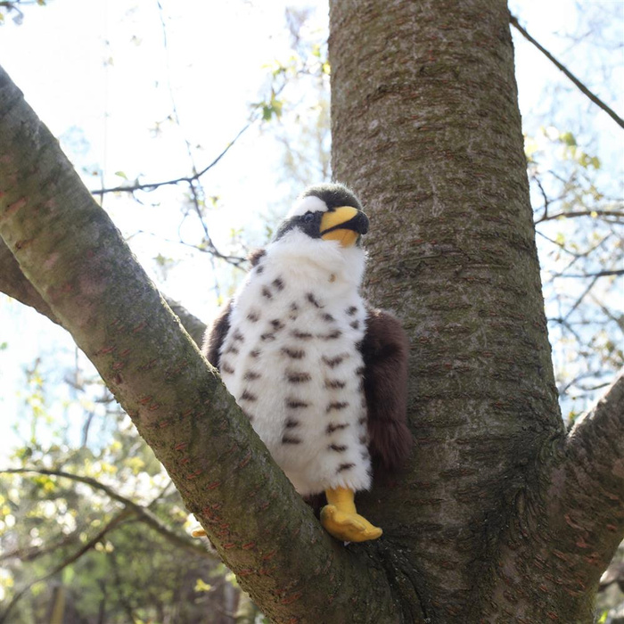 Pluszak dla dzieci jastrząb 23 cm Rappa maskotki