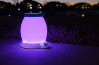 Obserwatorium Owadów Nocna Lampka Buggy Light