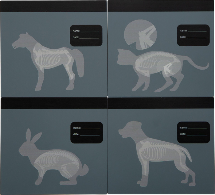 Zestaw weterynarza z pluszowym królikiem Small Foot