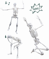 Szkielet człowieka ruchomy model anatomiczny do składania dla dzieci Buki