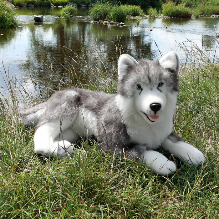 Rappa ekologiczny Pies Husky 60 cm pluszowy Przyjaciel dziecka