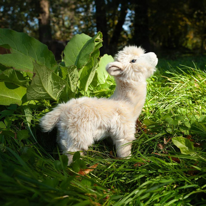 Pluszak dla dzieci Lama 23 cm Rappa