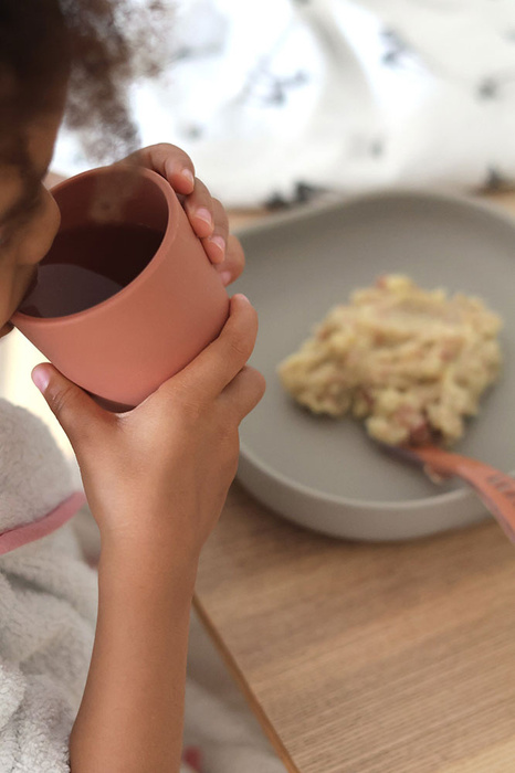 Komplet naczyń z silikonu z przyssawką Terracotta Beaba