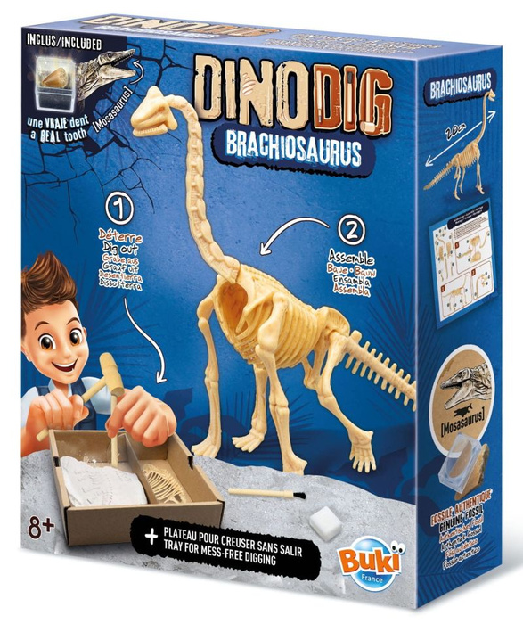 Mały paleontolog Brachiozaur Buki