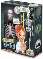 Szkielet człowieka ruchomy model anatomiczny do składania dla dzieci Buki