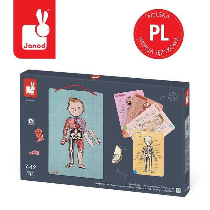 Układanka magnetyczna Anatomia człowieka Janod 