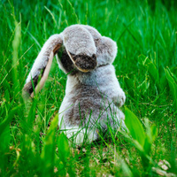 Maskotka dla dzieci Zajączek Pluszak S Trudi