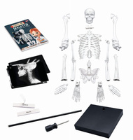 Szkielet człowieka 85 cm ruchomy model anatomiczny do składania dla dzieci Buki