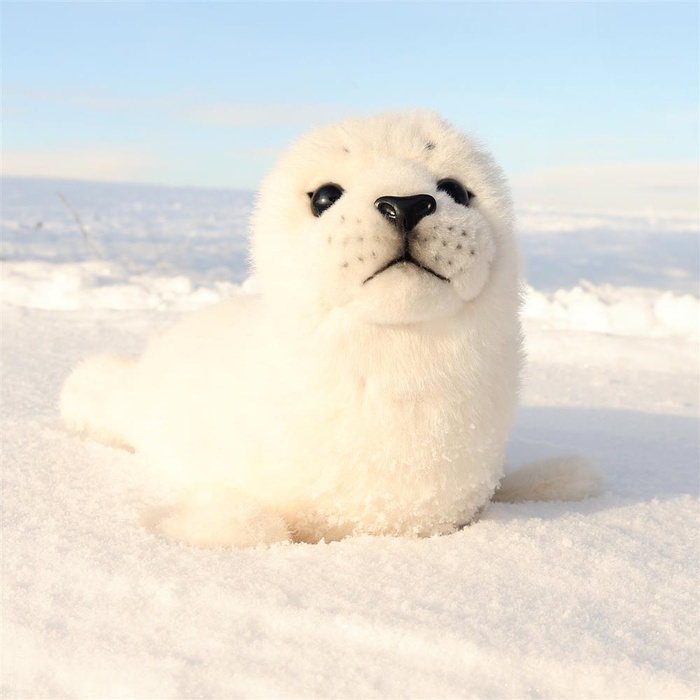 Pluszak dla dzieci foka biała 30 cm Rappa maskotki