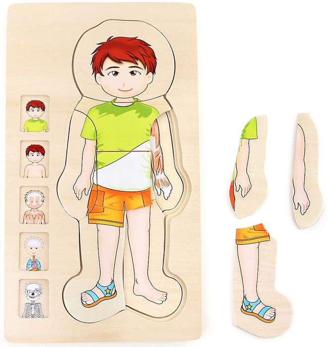 Układanka warstwowa, Anatomia Tomka, Small foot