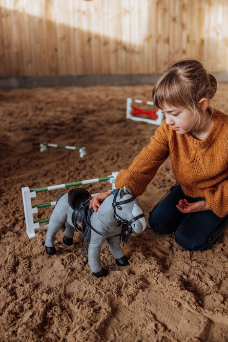 Przeszkoda drewniana biało-czerwona dla kucyka Minis 30 cm Astrup