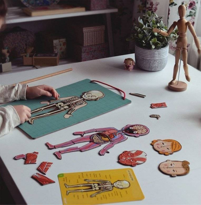 Układanka magnetyczna Anatomia człowieka Janod 