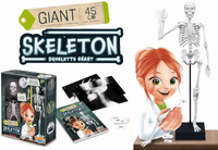 Szkielet człowieka ruchomy model anatomiczny do składania dla dzieci Buki