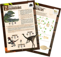 Pudełko 25 niespodzianek z dinozaurami Buki 2135