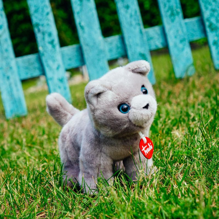 Maskotka dla dzieci Kotka szara Pluszak Trudi