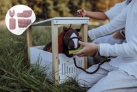 Minis Astrup 4w1 kolekcja Pixi różowy