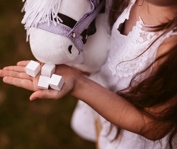 Zestaw do karmienia konia dodatki do Hobby Horse Astrup