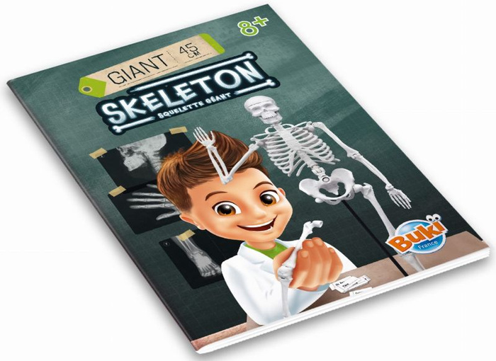 Szkielet człowieka ruchomy model anatomiczny do składania dla dzieci Buki