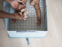 Składana wanienka dla dziecka Cameleo Pop Up Bath Green Blue Beaba