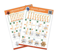 Łamigłówki dla bystrzaków Ekspert Buki