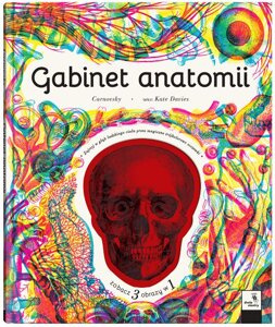 Gabinet anatomii. Wydawnictwo Dwie Siostry