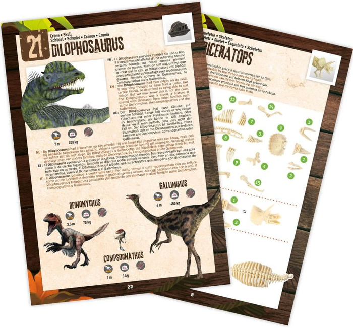 Pudełko 25 niespodzianek z dinozaurami Buki 2135