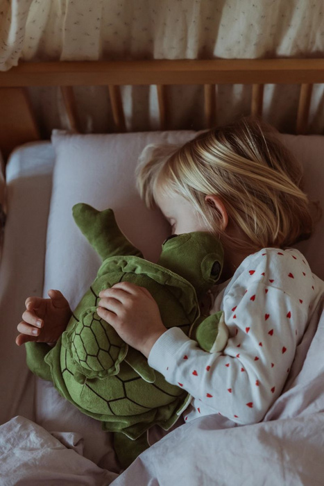 Maskotka obciążeniowa pluszowy żółw terapeutyczny z mini żółwikiem 1,6 kg Astrup