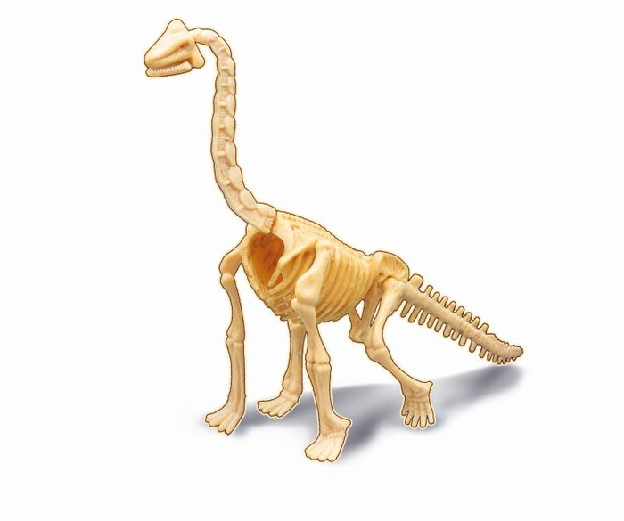 Mały paleontolog Brachiozaur Buki
