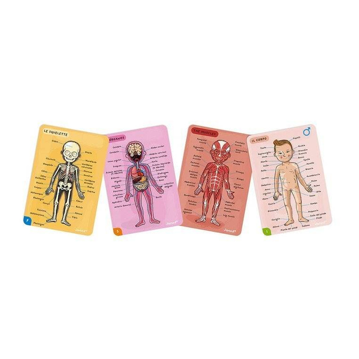 Układanka magnetyczna Anatomia człowieka Janod 