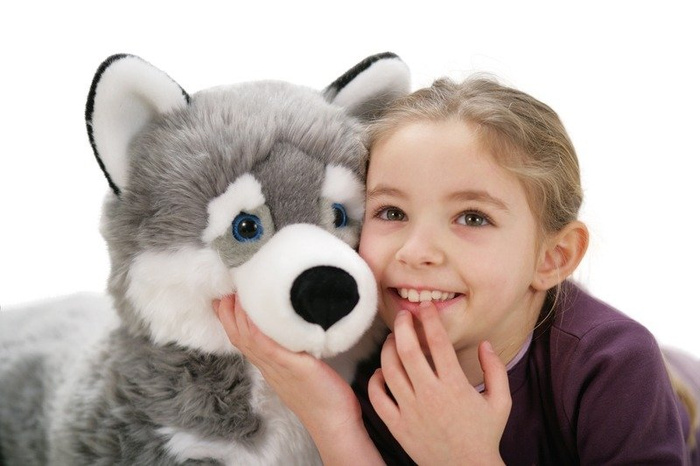 Pluszak pies - husky Marcus, 34 cm