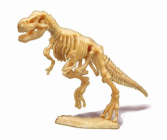 Mały paleontolog Tyranozaur Buki