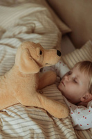 Maskotka obciążeniowa pluszowy piesek terapeutyczny 2,2 kg Astrup