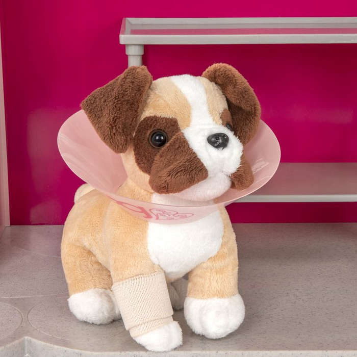 Klinika weterynaryjna z pełnym wyposażeniem Healthy Paws Vet Clinic Our Generation