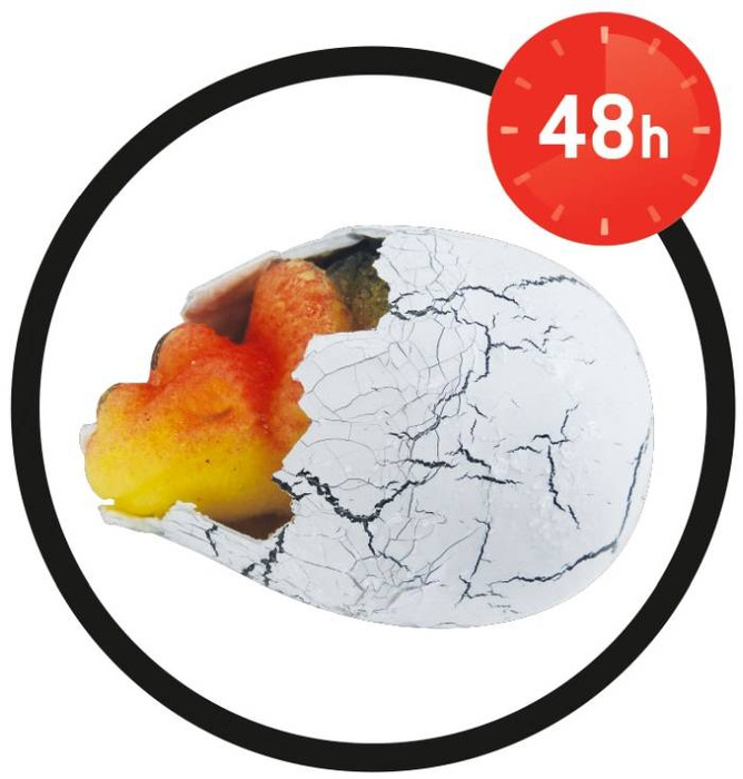 Magiczne jajko dinozaura Buki, nauka i zabawa