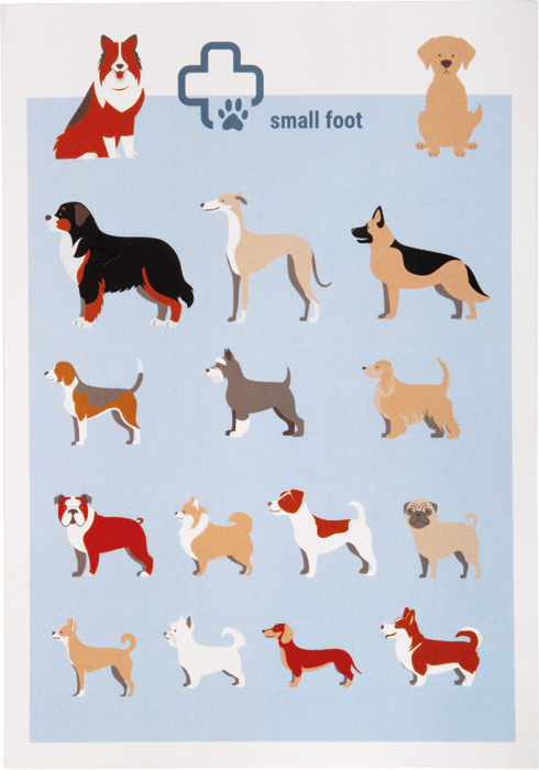 Zestaw weterynarza z pluszowym królikiem Small Foot