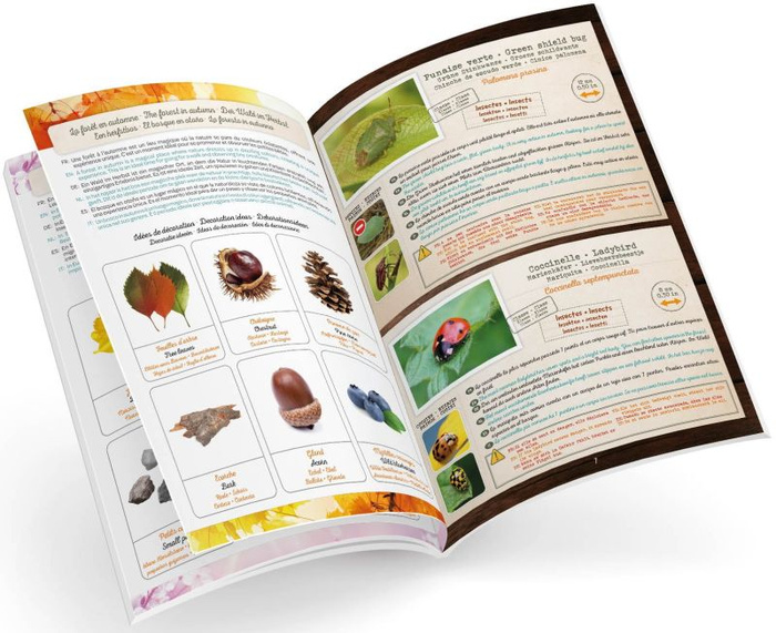 Mobilne terrarium dla małego obserwatora przyrody Buki 