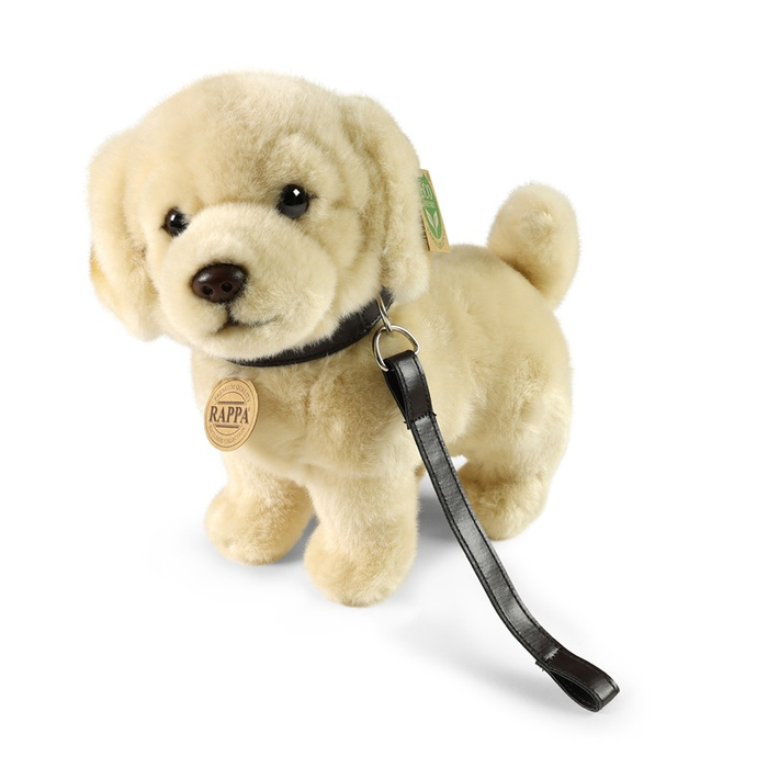 Pluszowy Golden Retriever Rappa 25 cm ekologiczny Piesek ze smyczą dla dzieci