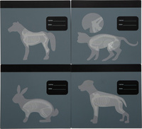 Zestaw weterynarza z pluszowym królikiem Small Foot