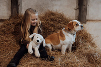 Pluszowy piesek mama z 2 szczeniakami Astrup