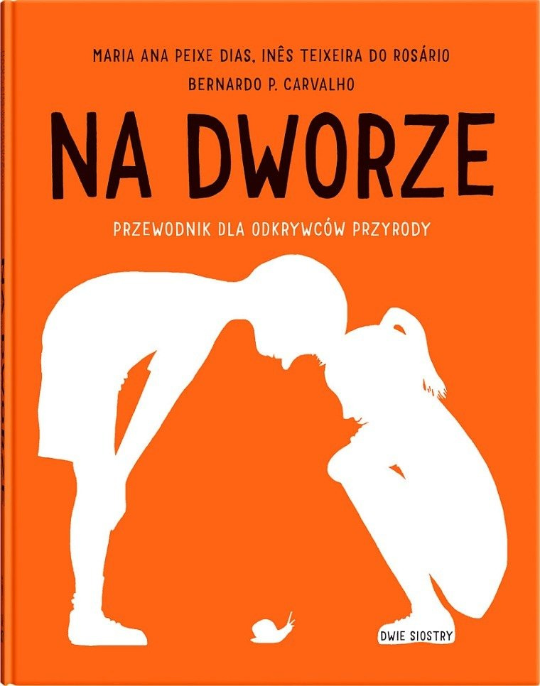 Scharakteryzuj Zachowanie świętego Podczas Drugiego Pobytu Na Dworze Ojca Na dworze. Wydawnictwo Dwie Siostry | Hoplik.pl
